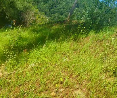 柳關(guān)欒盧鉛鋅礦|治理排土“瘡疤”，繪就綠色畫卷